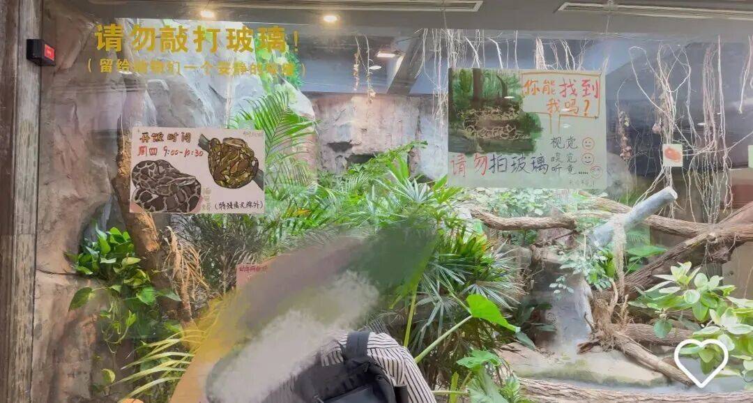 事發(fā)上海動物園！阿姨爺叔免費入園跳舞<strong></p>
<p>方管
</strong>，被指影響動物！園方回應：管過，效果不好:方管
